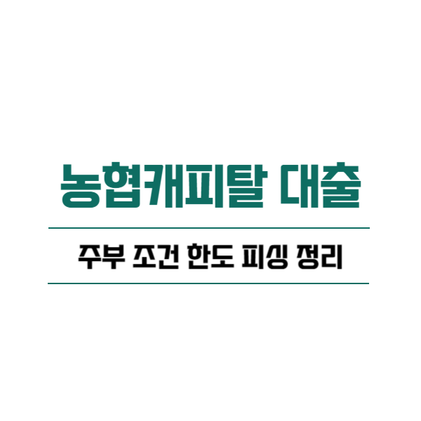 농협캐피탈 대출 주부 조건 한도 피싱